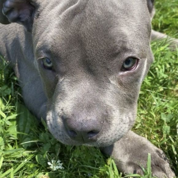 Meet your Posher, Kiley - Picture 1 of 1